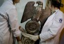 Germany still has a problematic approach towards Nazi-era art restitution Germany still has a problematic approach towards Nazi-era art restitution
