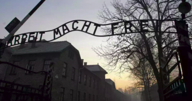 Israeli student admits stealing items from Auschwitz for art project Israeli student admits stealing items from Auschwitz for art project