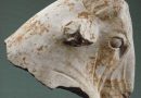 Lawsuit Dropped, Looted Antiquity To Be Returned From Met Museum To Lebanon Lawsuit Dropped, Looted Antiquity To Be Returned From Met Museum To Lebanon
