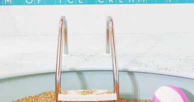 In The Age Of The Museum Of Ice Cream And The Creation Museum, What Does ‘Museum’ Even Mean? In The Age Of The Museum Of Ice Cream And The Creation Museum, What Does ‘Museum’ Even Mean?