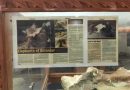Govt Hands Over Custody Of Stolen Treasure ‘Back To Thief’: Scholar Govt Hands Over Custody Of Stolen Treasure ‘Back To Thief’: Scholar