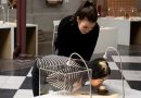 Why Do Various Foods Disgust Some People And Not Others? There’s A Museum Devoted To The Question Why Do Various Foods Disgust Some People And Not Others? There’s A Museum Devoted To The Question