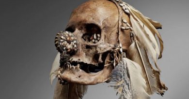 The Fight Over Repatriating African Skulls From European Museums The Fight Over Repatriating African Skulls From European Museums