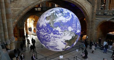 Natural History Museum declares climate emergency Natural History Museum declares climate emergency